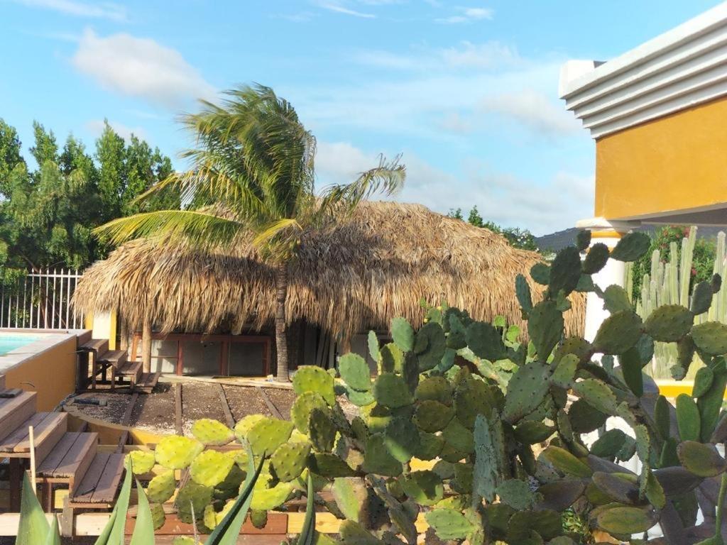 Landhuis Belnem Bonaire คราเลนไดค์ ภายนอก รูปภาพ